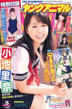 电视剧免费观看江城全集